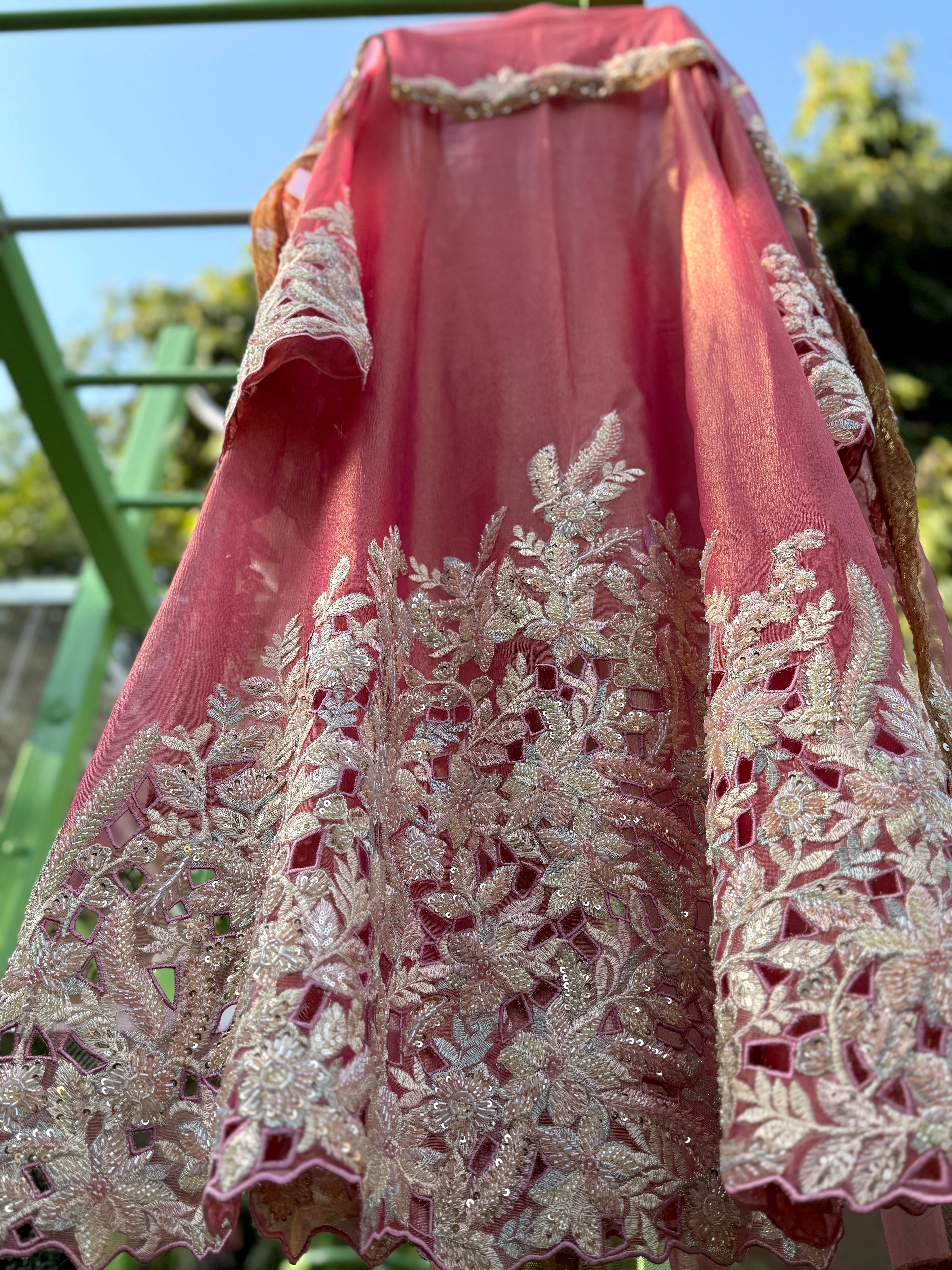 Coral Tissue Cuts